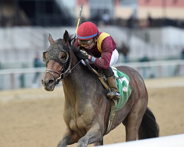 Catholic Boy, horse, More Than Ready, Remsen Stakes, sábado, 2 de diciembre de 2017, Aqueduct. Foto: Coglaniese Photo & Chelsea Durand