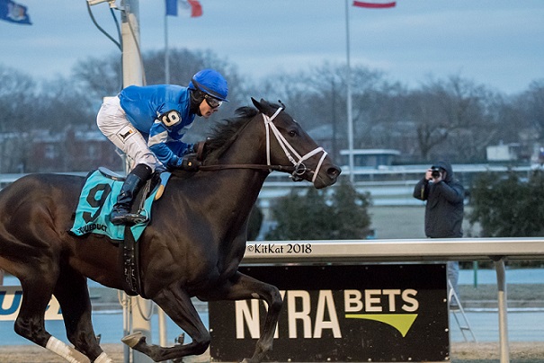 Enticed, horse, Medglia D´ Oro, Gotham Stakes, sábado, 10 de marzo de 2018, Aqueduct Foto: Kathleen O´Leary Kit Kat