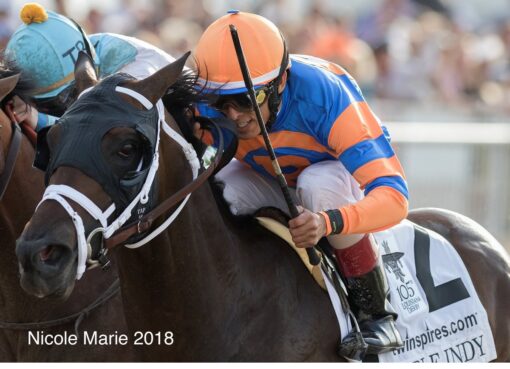 Noble Indy, horse, Take Charge Indy, Twinspires Louisiana Derby, sábado, 24 de marzo de 2018, Fair Grounds. Foto Nicole Marie