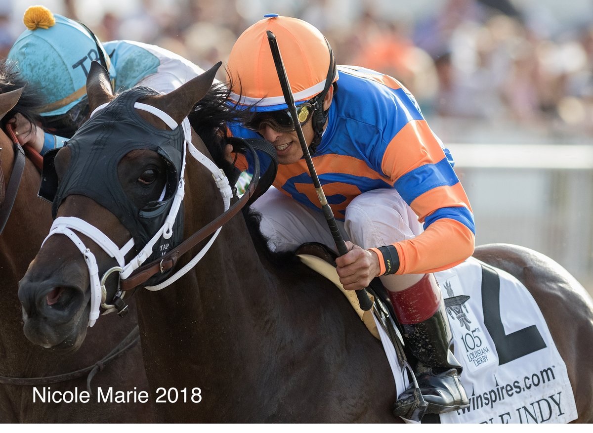 Noble Indy, horse, Take Charge Indy, Twinspires Louisiana Derby, sábado, 24 de marzo de 2018, Fair Grounds. Foto Nicole Marie