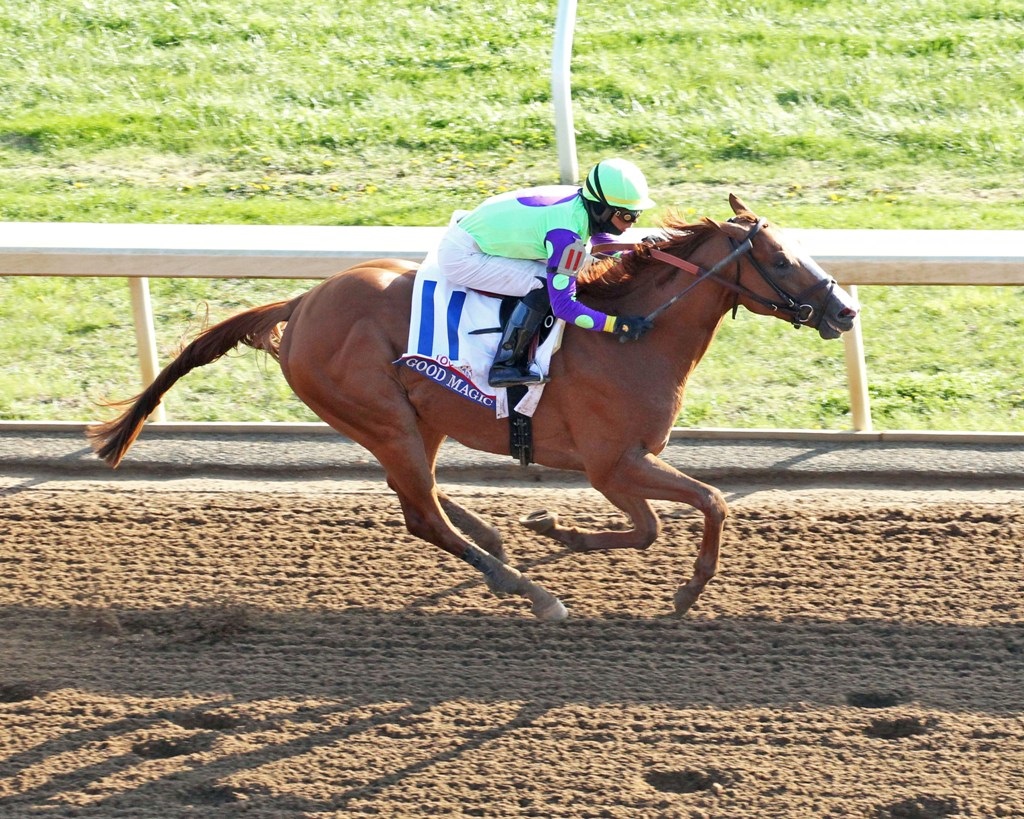 Good Magic, horse, Curlin, Blue Grass Stakes, sábado, 7 de Abril de 2018, Keeneland. Foto: Coady Photo