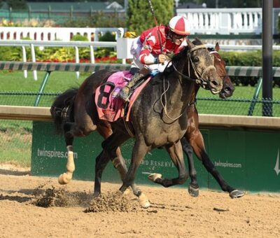 Cairo Cat, horse, Cairo Prince, Iroquois Stakes, sábado, 15 de septiembre de 2018, Churchill Downs. Foto: Coady Photo