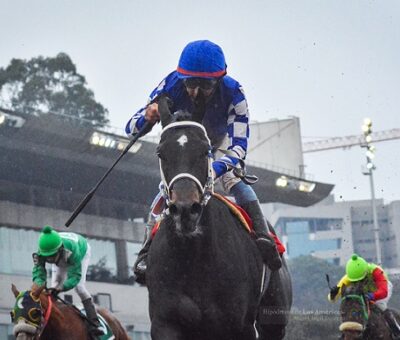 Esheme, horse, More Than Regal, Clásico Casty, 22 de septiembre de 2018. Foto: Miguel Ángel Espinoza