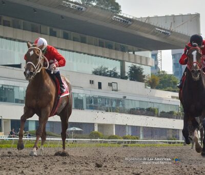 Jala Jala, horse, Cuadra San Jorge, Clásico La Raza, viernes, 28 de septiembre de 2018, Hipódromo de Las Américas. Foto: Foto: Miguel Ángel Espinoza