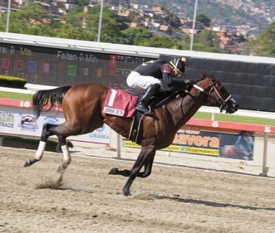 Jorge Zeta, horse, Haras Los Caracaros Clásico Invitacional del Caribe, domingo, 2 de septiembre de 2018, La Rinconada. Foto: Jorge Yánez