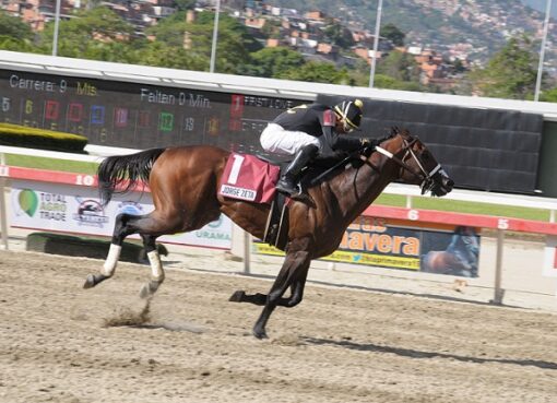 Jorge Zeta, horse, Haras Los Caracaros Clásico Invitacional del Caribe, domingo, 2 de septiembre de 2018, La Rinconada. Foto: Jorge Yánez