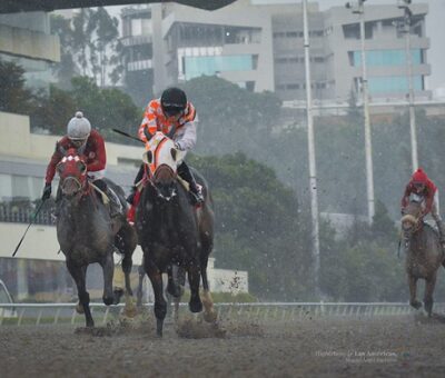 Kantyi, horse, Rule, Clásico Batucada, Hipódromo de Las Américas, sábado, 15 de septiembre de 2018. Foto: Miguel Ángel Espinoza