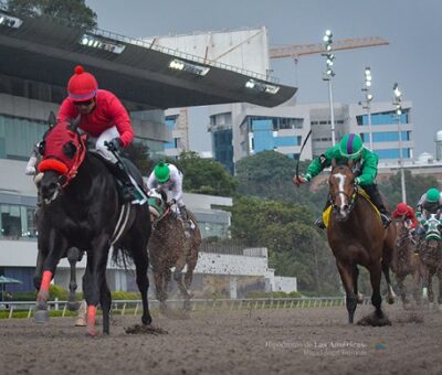 Kylian, horse, Cuadra San Jorge, Clásico Carlos Gómez, 22 de septiembre de 2018. Foto: Miguel Ángel Espinoza