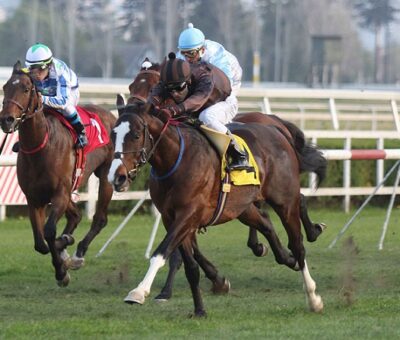 Bronkel, horse, Haras Las Don Alberto, Clásico Chesterton, viernes, 18 de cotubre de 2018, Club Hípico de Santiago. Foto: Jaime Cortés