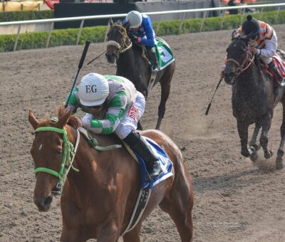 Etruska, horse, Abaginone, Clásico That´s Life, Hipódromo de Las Américas, sábado, 27 de octubre de 2018. Foto: Miguel Ángel Espinoza