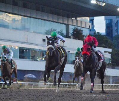 Ferragamo, horse, Itsmyluckyday, Clásico Dominciano, Hipódromo de Las Américas, sábado, 13 de octubre de 2018. Foto Miguel Ángel Espinoza
