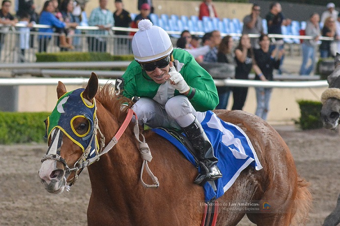 La Peralta, horse, Drover, Clásico Vivan Récord, Hipódromo de Las Américas, sábado, 13 de octubre de 2018. Foto: Miguel Ángel Espinoza