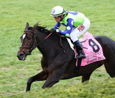 Rushing Fall, horse, More Than Ready, Queen Elizabeth Challange Stakes, sábado, 13 de octubre de 2018, Keeneland. Foto: Coady Photo