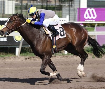 Shot Tanker, horse, Haras Mocito Guapo, Clásico Club de Polo y Equitación San Cristóbal, viernes, 5 de octubre de 2018, Club Hípico de Santiago. Foto: Jaime Cortés