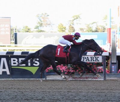 Strong One, horse, Dialed In, Javier Castellano, jueves, 18 de octubre de 2018, Belmont Park. Foto: Coglianese Photo