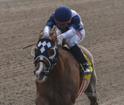 Tati, horse, Drover, Allowance, Hipódromo de Las Américas, sábado, 27 de octubre de 2018. Foto: Miguel Ángel Espinoza