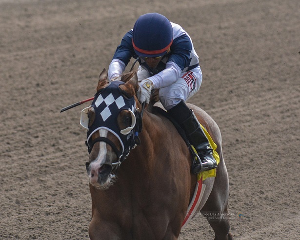 Tati, horse, Drover, Allowance, Hipódromo de Las Américas, sábado, 27 de octubre de 2018. Foto: Miguel Ángel Espinoza