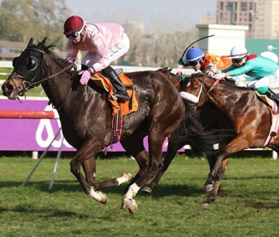 Tinkerbell, horse, Viscount Nelson, Clásico Juan Unzurrunzaga nieto, viernes, 12 de octubre de 2018, Club Hípico de Santiago. Foto: Jaime Cortés