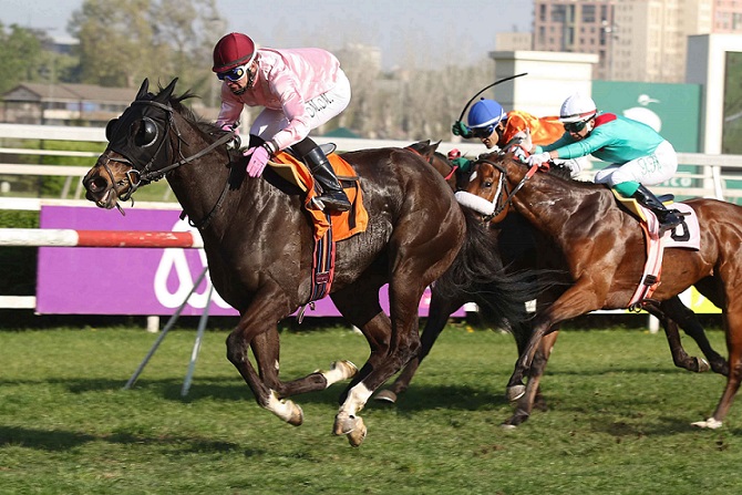 Tinkerbell, horse, Viscount Nelson, Clásico Juan Unzurrunzaga nieto, viernes, 12 de octubre de 2018, Club Hípico de Santiago. Foto: Jaime Cortés