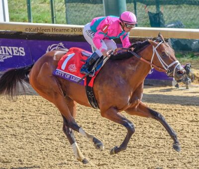 City Of Light, horse, Quality Road, Breeders´ Cup Dirt Mile, Kentucky Derby, sábado, 3 de noviembre de 2018, Churchill Downs. Foto: Kathleen Hearne @Kitkat8298