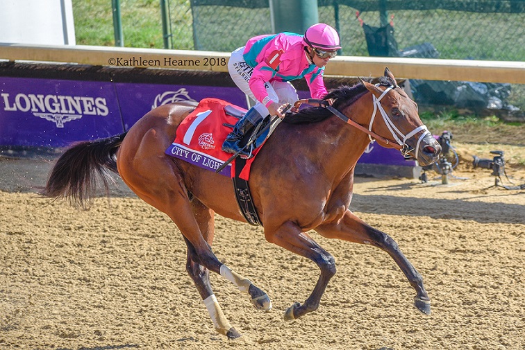 City Of Light, horse, Quality Road, Breeders´ Cup Dirt Mile, Kentucky Derby, sábado, 3 de noviembre de 2018, Churchill Downs. Foto: Kathleen Hearne @Kitkat8298