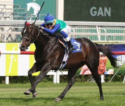 Conquer, horse, Haras Paso Nevado, Clásico Radio Agricultura, lunes, 5 de noviembre de 2018, Club Hípico de Santiago. Foto Jaime Cortés