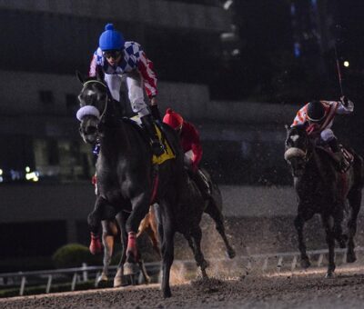 El Santo, horse, Take Charge Indy, Clásico Robert A Ruiz, sábado, 10 de noviembre de 2018, Hipódromo de Las Américas. Foto: Miguel Ángel Espinoza