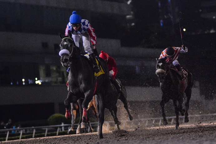 El Santo, horse, Take Charge Indy, Clásico Robert A Ruiz, sábado, 10 de noviembre de 2018, Hipódromo de Las Américas. Foto: Miguel Ángel Espinoza