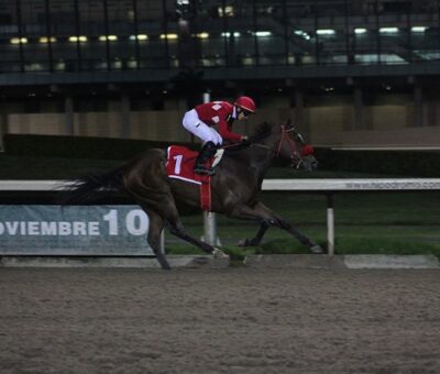 Laika, horse, Cuadra San Jorge, Clásico Gaspar Rivera Torres de la Copa Criadores de Pura Sangre, 10 de noviembre de 2018. Foto: Miguel Ángel Espinoza