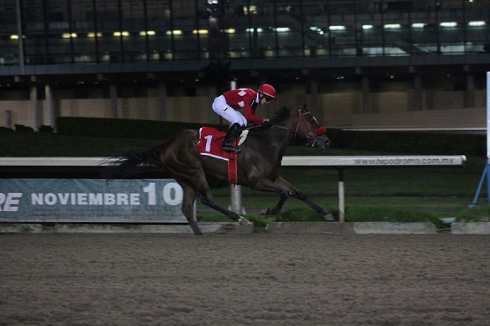 Laika, horse, Cuadra San Jorge, Clásico Gaspar Rivera Torres de la Copa Criadores de Pura Sangre, 10 de noviembre de 2018. Foto: Miguel Ángel Espinoza