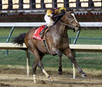 Signalman, horse, General Quarters, Kentucky Jockey Club, sábado, 24 de noviembre de 2018, Belmont Park. Foto: Coady Photo