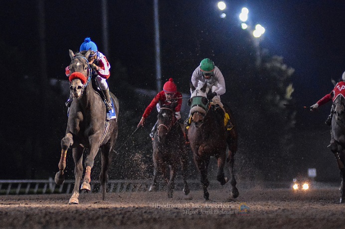 El Santo, horse, Cuadra J.R.R., Futurity Mexicano, Hipódromo de Las Américas, sábado, 2 de diciembre de 2018. Foto Miguel Ángel Espinoza