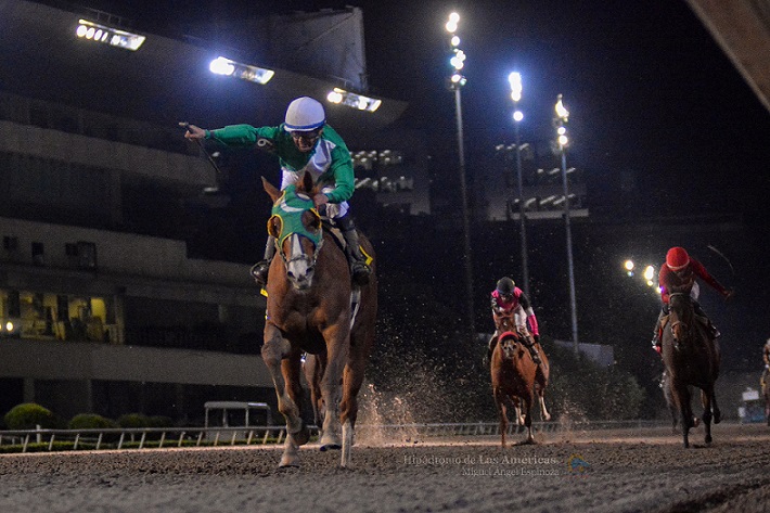 La Peralta, horse, Clásico 02-12-18