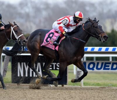 Patternrecognition, horse, Adios Charlie, Cigar Mile Stakes, sábado, 1 de diciembre de 2018, Aqueduct. Foto: Coglaniese Photo & Susie Raisher