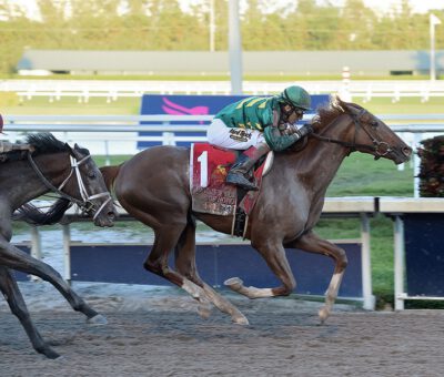 Code Of Honor, horse, Lanes End, Fountain Of Youth, sábado, 2 de marzo de 2019, Gulfstream Park. Foto: Coglaniese Photo & Leslie Martin