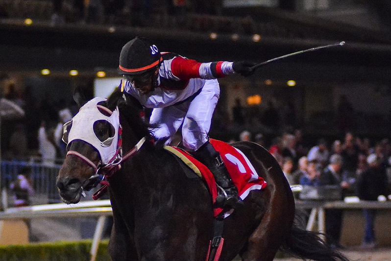 Icebox, horse, Souther Image, Clásico Handicap Gay Dalton, sábado, 16 de marzo de 2019, Hipódromo de Las Américas. Foto: Miguel Ángel Espinoza