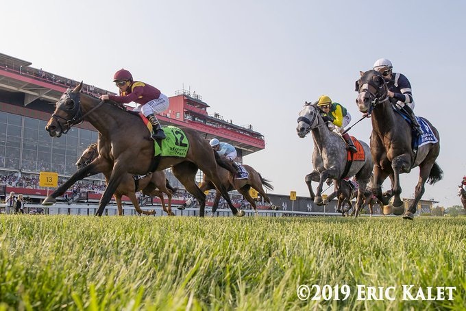 Catholic Boy, horse, More Than Ready, Dixie Stakes, sábado, 18 de mayo de 2019, Pimlico. Foto: Eric Kalet