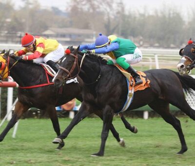 Conquer, horse, Haras Paso Nevado, Clásico Armada de Chile, lunes, 6 de mayo de 2019, Club Hípico de Santiago. Foto: Jaime Cortés