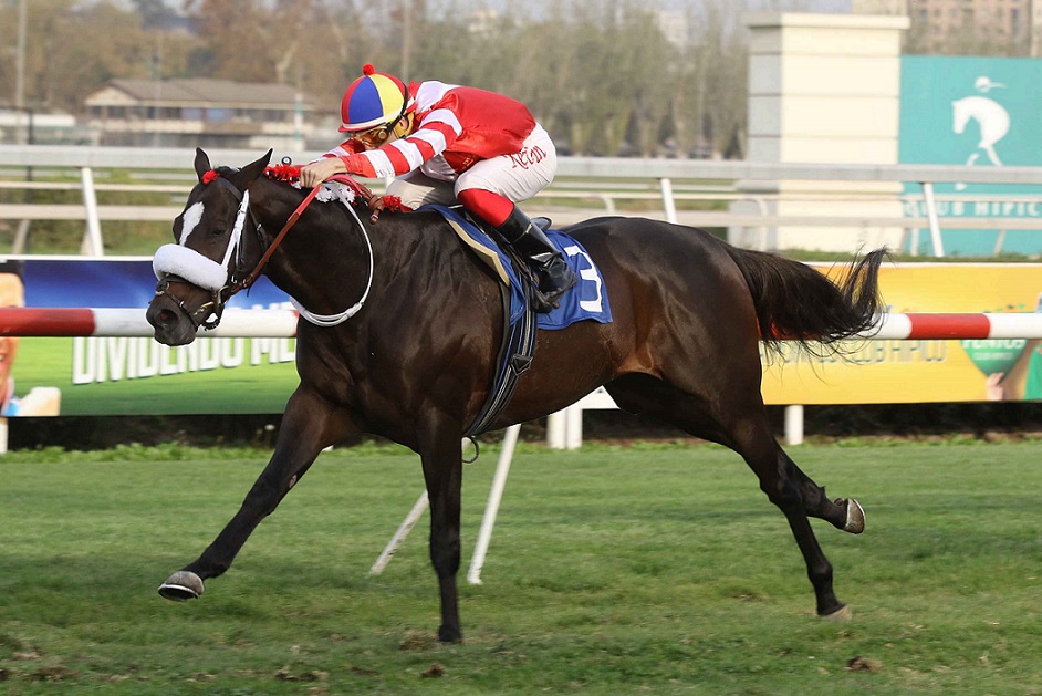 Del Bosque, horse, Haras Don Alberto, Clásico República de Argentina, viernes, 3 de mayo de 2019, Club Hípico de Santiago. Foto: Jaime Cortés