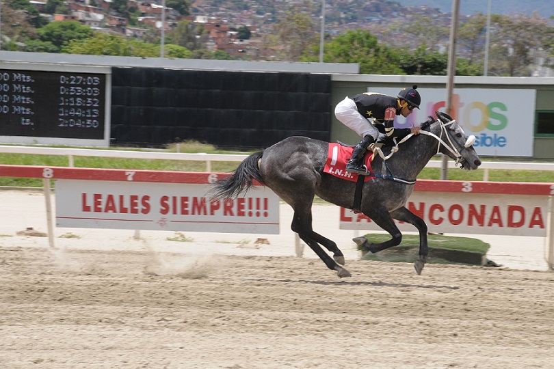 Go Sexy Go, horse, Haras La Invasión, Copa Miss Marena, domingo, 26 de mayo de 2019, La Rinconada. Foto: Jorge Yánez
