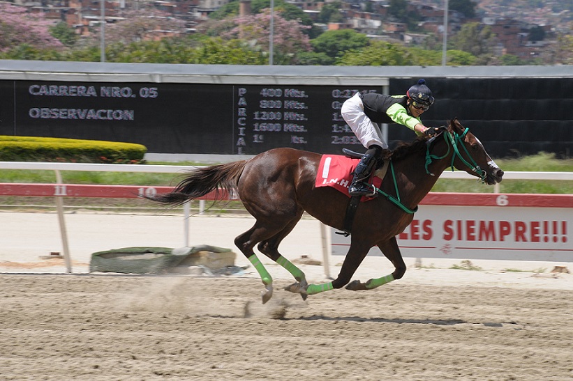 La De Horacio, horse, Big Prairie, Copa Bambera, domingo, 19 de mayo de 2019, Hipódromo La Rinconada. Foto: Foto José Antonio Aray