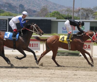Tío Julio, horse, Haras La Invasión, Copa Sweet Candy, domingo, 19 de mayo de 2019, La Rinconada. Foto: Jorge Yánez