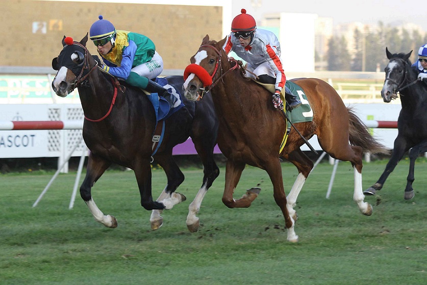 Toplucky, horse, Lookin At Lucky, Clásico Asociación Gremial de Preparadores de C.H.S., viernes, 17 de mayo de 2019, Club Hípico de Santiago. Foto: Jaime Cortés
