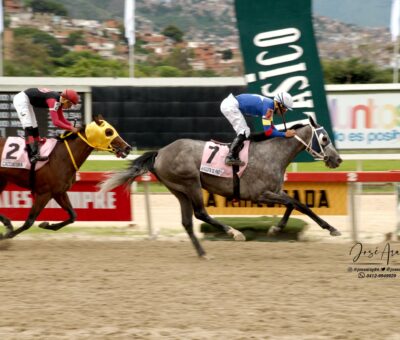 Afrodita De Padua, horse, Haras Oropal, Clásico Prensa Hípica Nacional, domingo, 23 de junio de 2019, Hipódromo La Rinconada. Foto: Foto José Antonio Aray