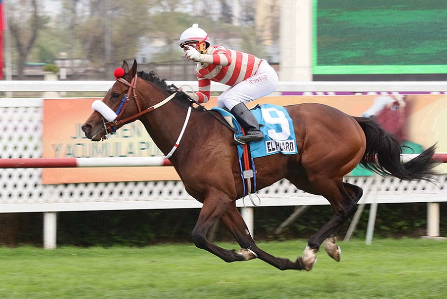 El Picaro, Horse, Lookin At Lucky, Club Hípico de Santiago 2018