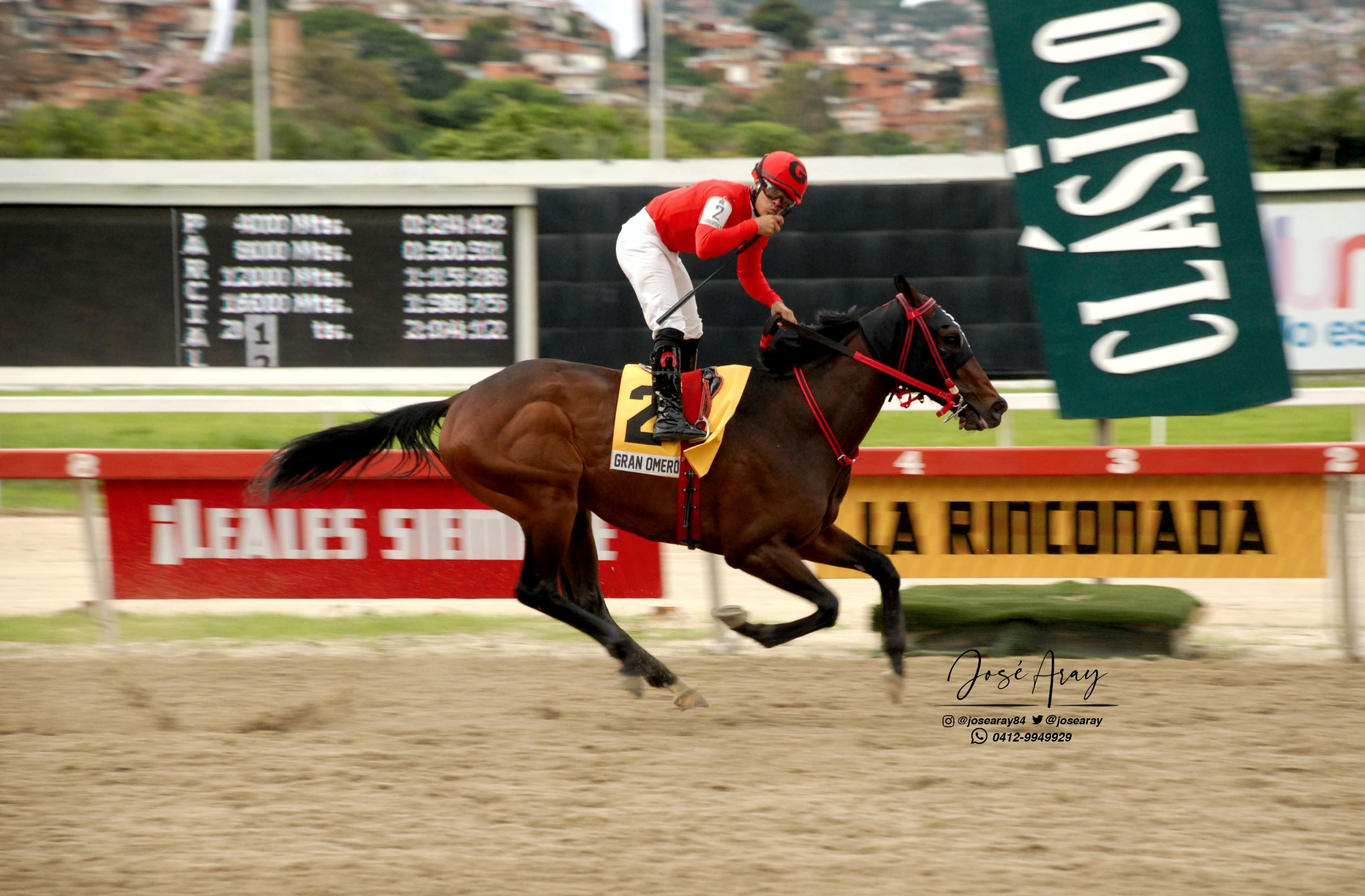 Gran Omero, horse, King Seraf, Clásico Cría Nacional, domingo, 23 de junio de 2019, Hipódromo La Rinconada. Foto: Foto José Antonio Aray