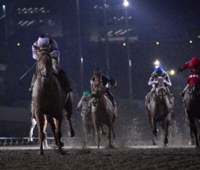 Lagartijo, horse, Cuadra G. S., Clásico Gran Premio Nacional, Hipódromo de Las Américas, junio de 2019. Foto: Miguel Ángel Espinoza