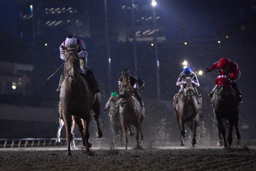 Lagartijo, horse, Cuadra G. S., Clásico Gran Premio Nacional, Hipódromo de Las Américas, junio de 2019. Foto: Miguel Ángel Espinoza
