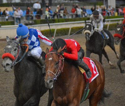 Lebrón, horse, Cuadra San Jorge, Clásico Stakes Jockey Club Mexicano, Hipódromo de Las Américas, junio de 2019. Foto: Miguel Ángel Espinoza