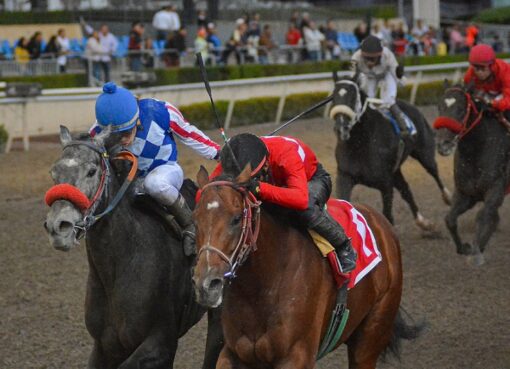 Lebrón, horse, Cuadra San Jorge, Clásico Stakes Jockey Club Mexicano, Hipódromo de Las Américas, junio de 2019. Foto: Miguel Ángel Espinoza